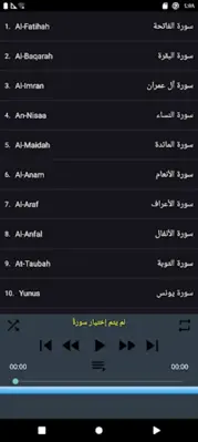 Minshawi full Quran - offline android App screenshot 25